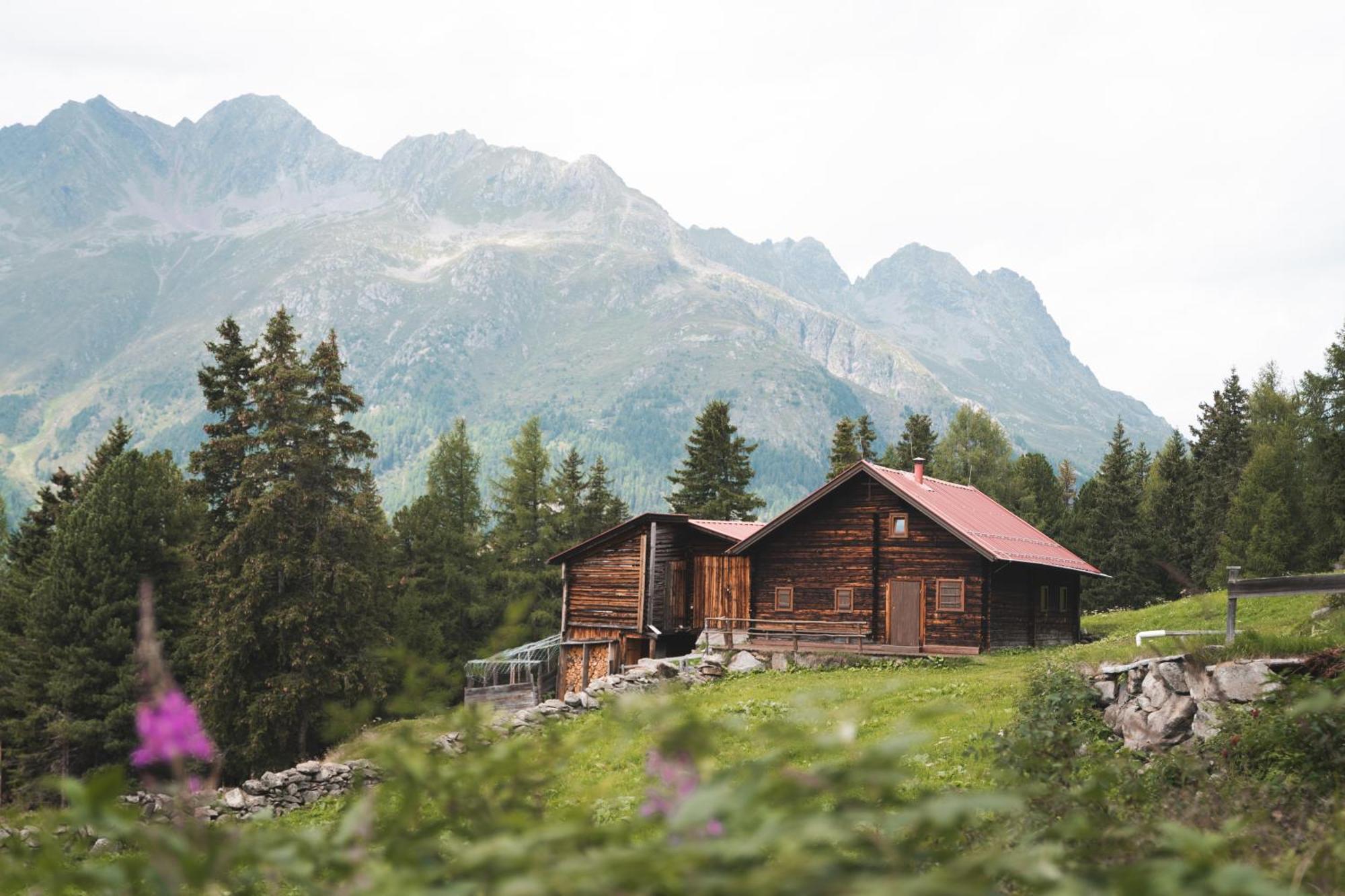 Apartament Myalps Pure